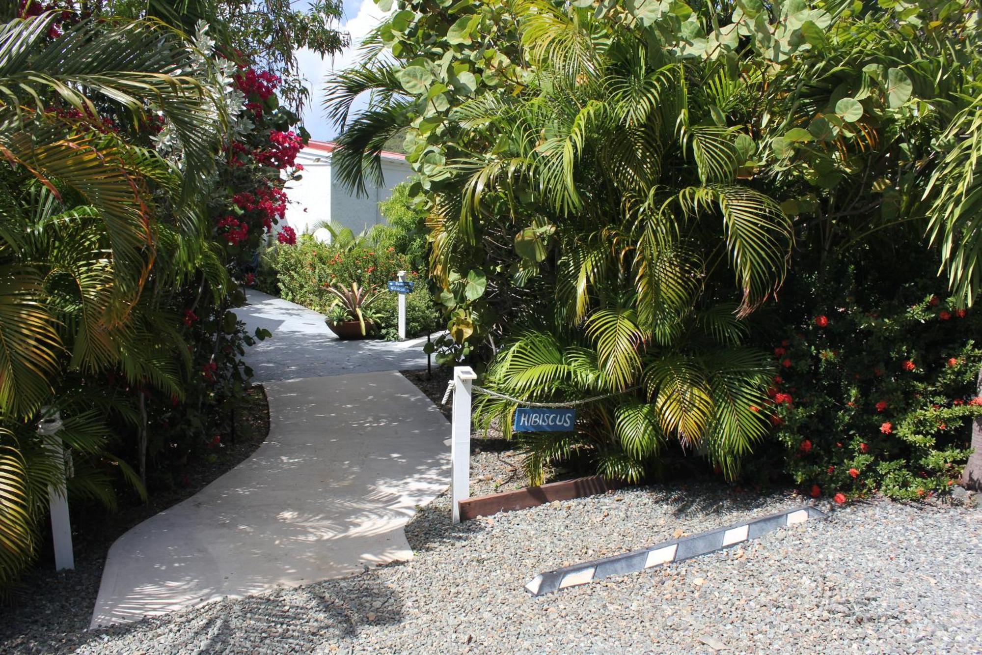 Fantastic Penthouse At Sunset Serenade Suites Cruz Bay 외부 사진
